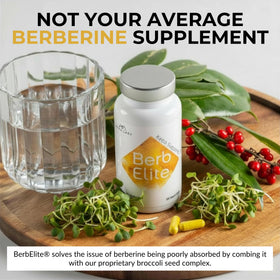 BrocElite BerbElite 350mg en contexte de vie quotidienne