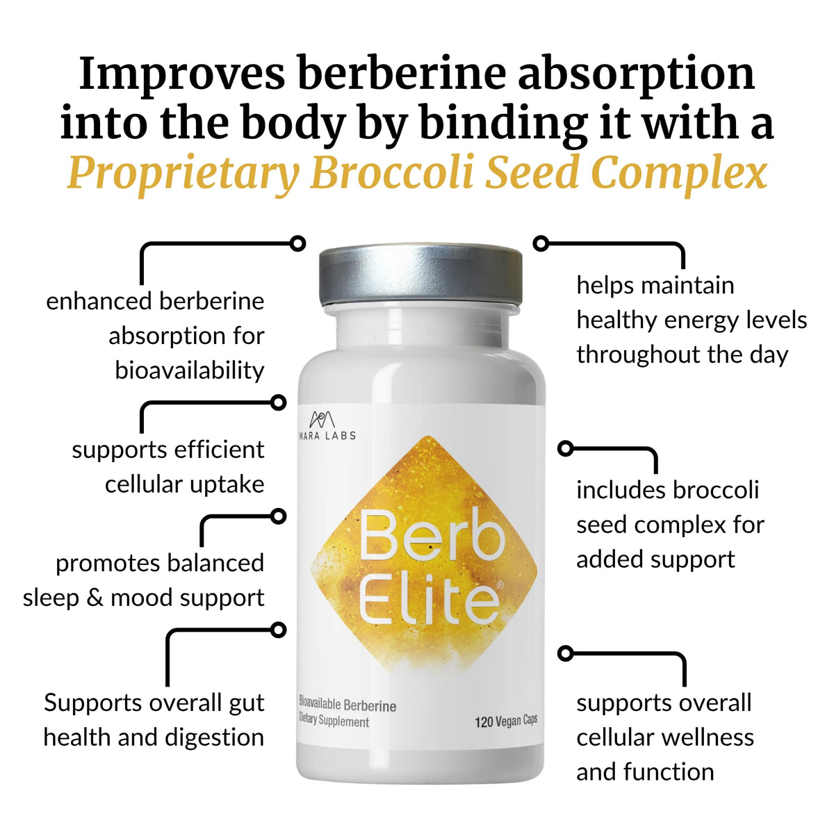 BrocElite BerbElite 350mg, présentation de l'emballage sur fond neutre
