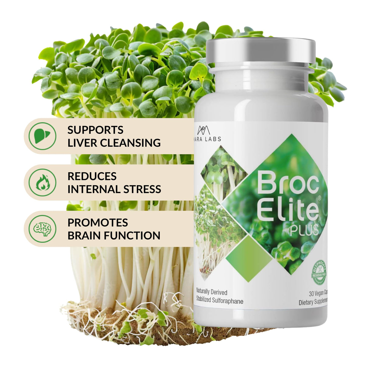 BrocElite Broccoli Sulforaphane 30 Capsules, vue de dessus du flacon