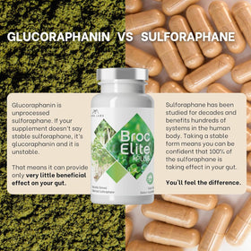 BrocElite Complément Alimentaire Sulforaphane Stabilisé avec des légumes frais