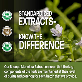 Bronson Bacopa Monnieri Extrait 500 mg vue de côté