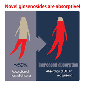 BTGIN Extrait de Ginseng Rouge Coréen 90g en utilisation