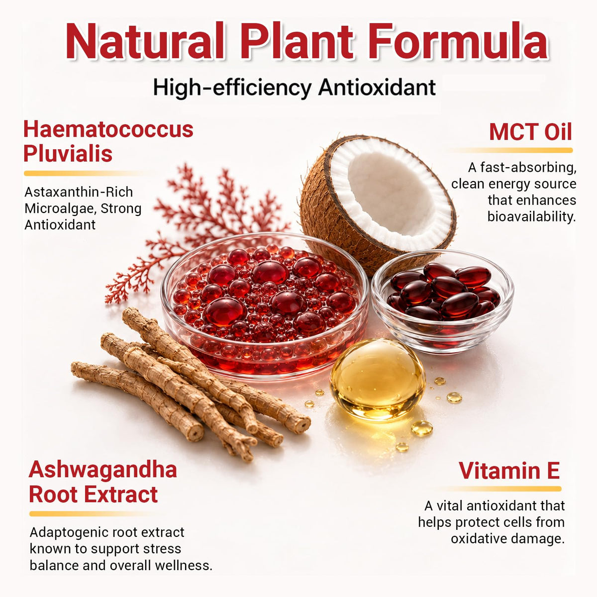 BudLive Astaxanthin 24mg gélule ouverte montrant la couleur