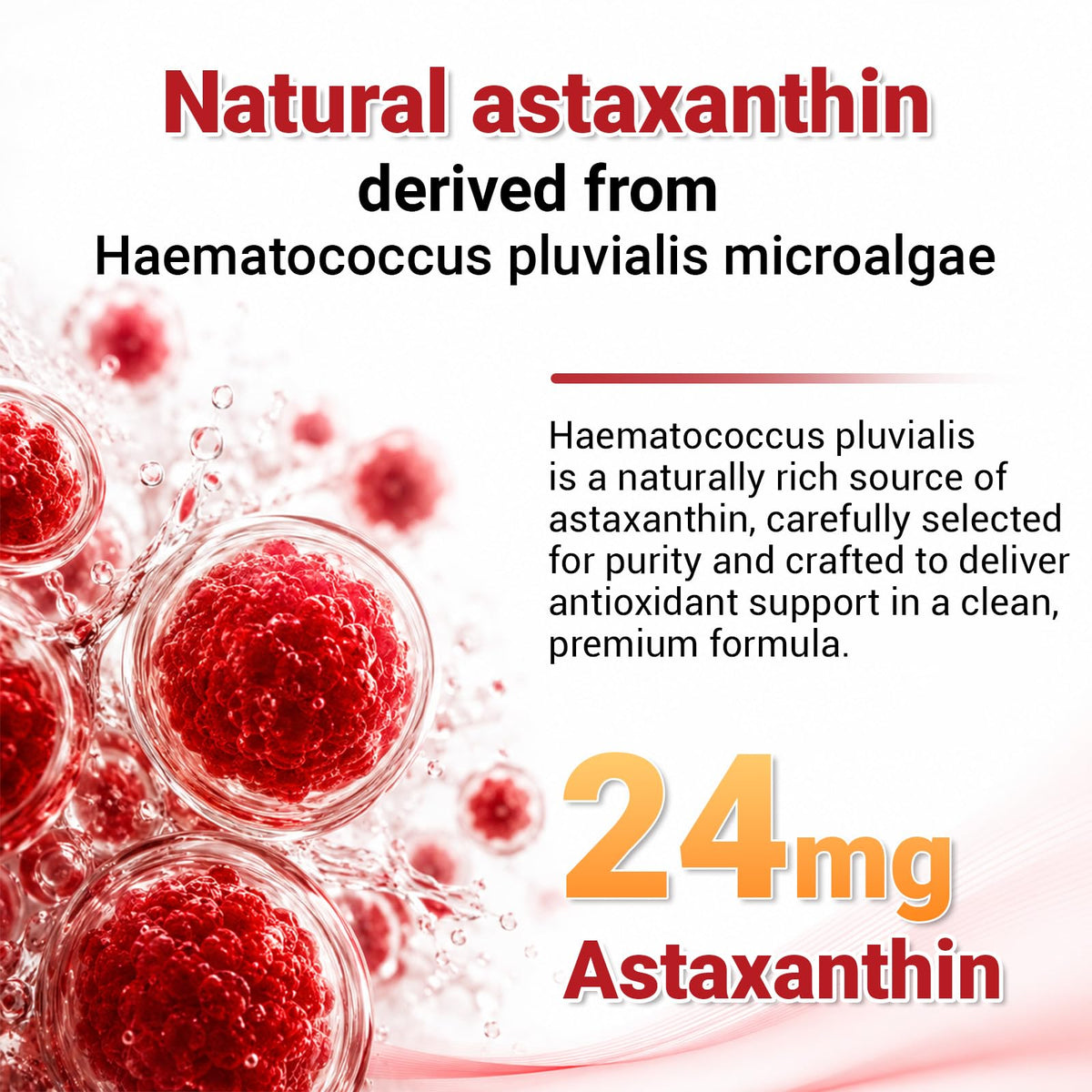 BudLive Astaxanthin 24mg prise quotidienne sur une table