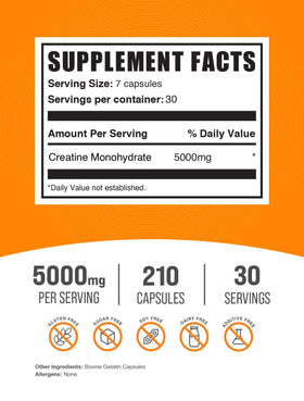 BulkSupplements créatine monohydrate capsules 5000mg vue arrière