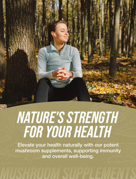 BulkSupplements Extrait de Champignon Chaga Capsules côté
