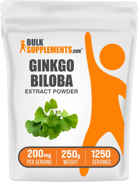 BulkSupplements Extrait de Ginkgo Biloba Poudre 250g vue de face