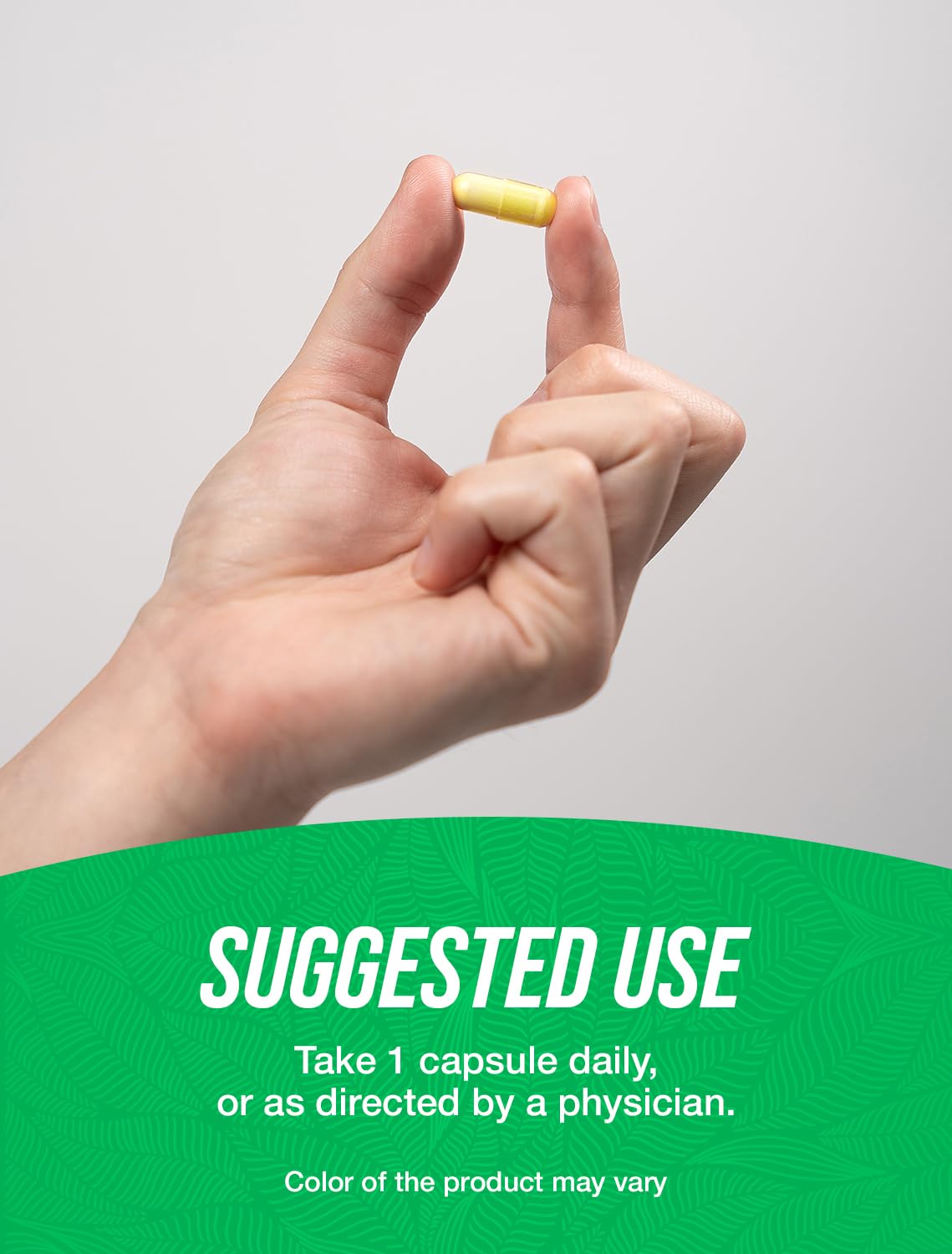 BulkSupplements Fisetin Capsules 100mg près d'une main