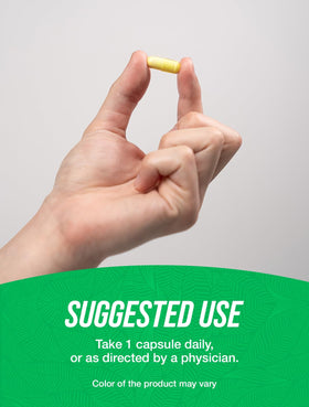 BulkSupplements Fisetin Capsules 100mg près d'une main