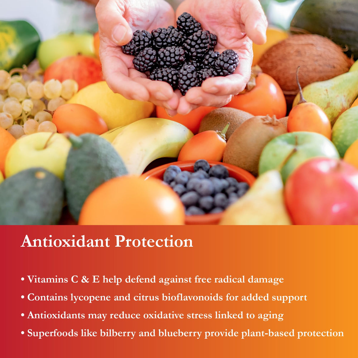 Buried Treasure Active 55 Plus multivitamine liquide en environnement de cuisine