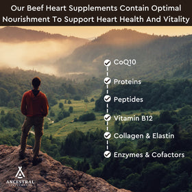 Cœur de Bœuf Ancestral Supplements, capsules sur fond blanc