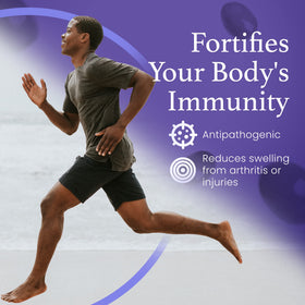 C60 Evo avec une cuillère doseuse à côté