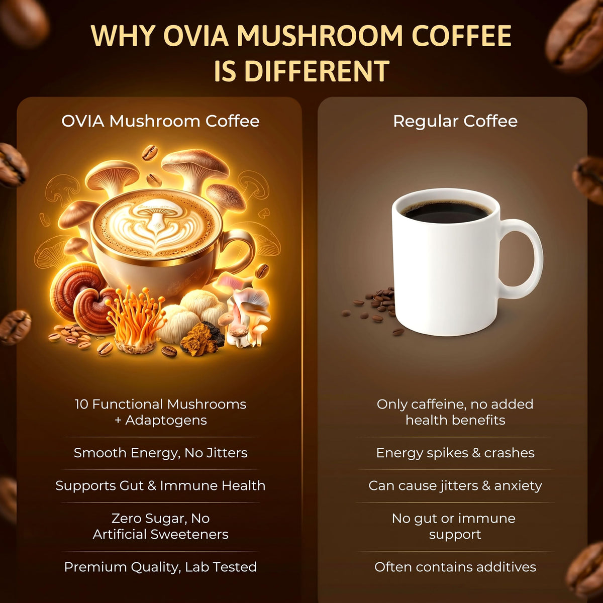 Café aux Champignons OVIA 10, ingrédients principaux sur la table