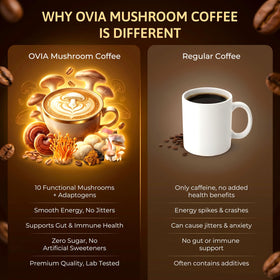 Café aux Champignons OVIA 10, ingrédients principaux sur la table