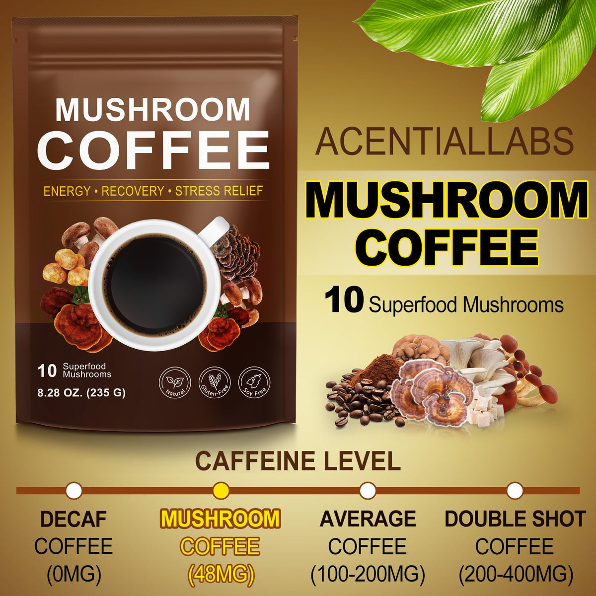 Café aux Champignons WLCTJIAYOU 235g mélange de champignons