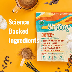 Café de champignon bio Shroovy en poudre dans une cuillère