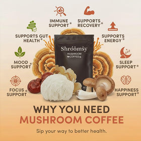 Café de Champignon Shroomsy, mélange avec lait de coco