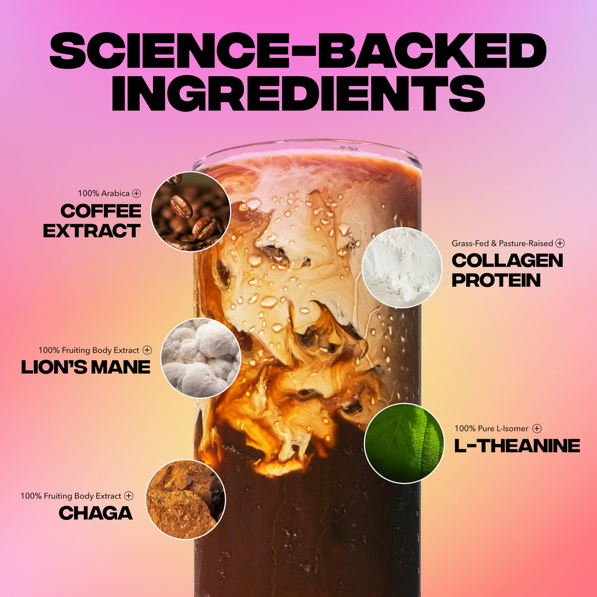 Café de champignons Everyday Dose avec une cuillère doseuse