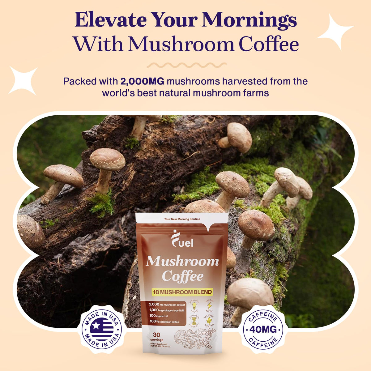 Café de champignons Fuel avec des champignons biologiques sur une table