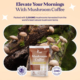 Café de champignons Fuel avec des champignons biologiques sur une table