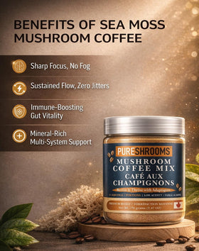 Café Instantané PureShrooms versé dans une tasse