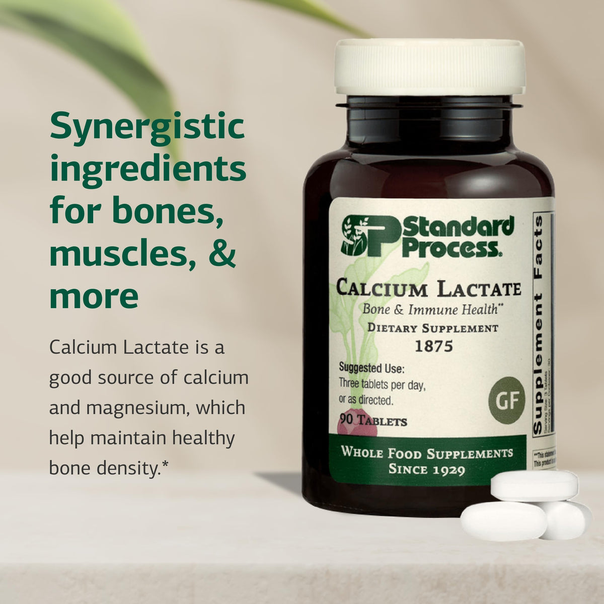 Calcium Lactate Standard Process 90 comprimés avec vue de près des comprimés