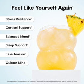 Calming Co. Ü daily wellness 2.0 sachets en présentation