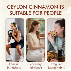 Cannelle de Ceylan TMKTMK sur fond blanc