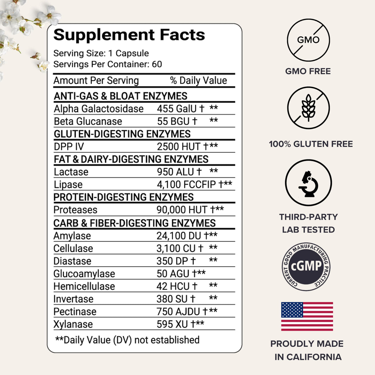 Capsule d'enzymes daily AEVA sur fond blanc