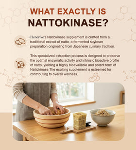 Capsule de Clenoriko Nattokinase 8000 FU sur une main