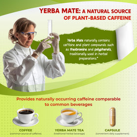 Capsule de PEAKPURY Ultra Yerba Mate sur une main