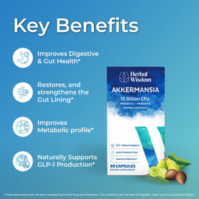 Capsule de probiotique Akkermansia Herbal Wisdom en gros plan