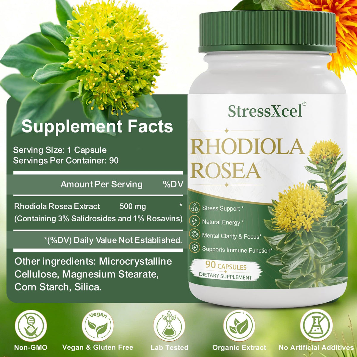 Capsule de Rhodiola Rosea de StressXcel, gros plan