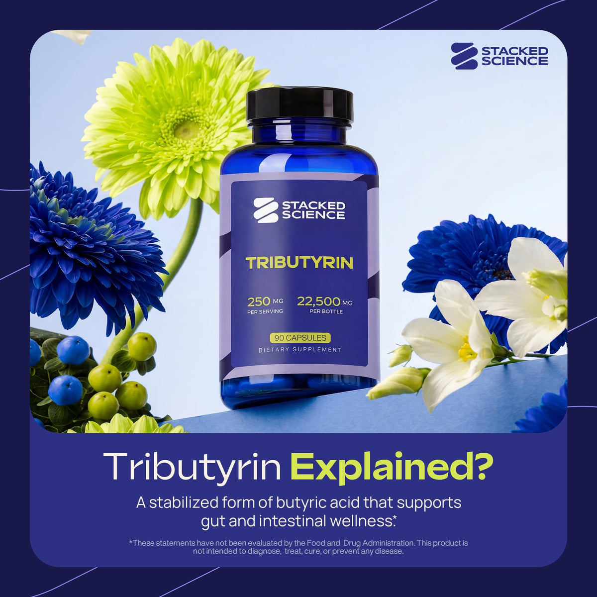 Capsule de Stacked Science Tributyrin 250mg vue de près