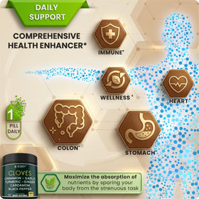 Capsule Herbpy 7 en 1 500 mg sur fond blanc