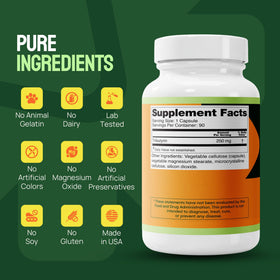 Capsule SUNDIAL SUPPLEMENTS Tributyrin 250 mg sur une surface blanche