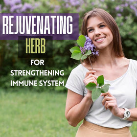 Capsules Amla Hebhac Herbs en contexte avec d'autres produits de santé