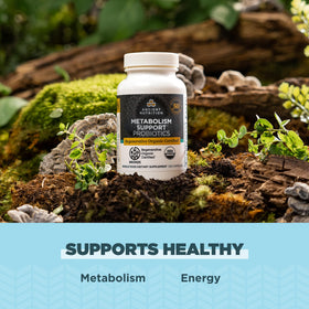 Capsules Ancient Nutrition Métabolisme sur fond blanc