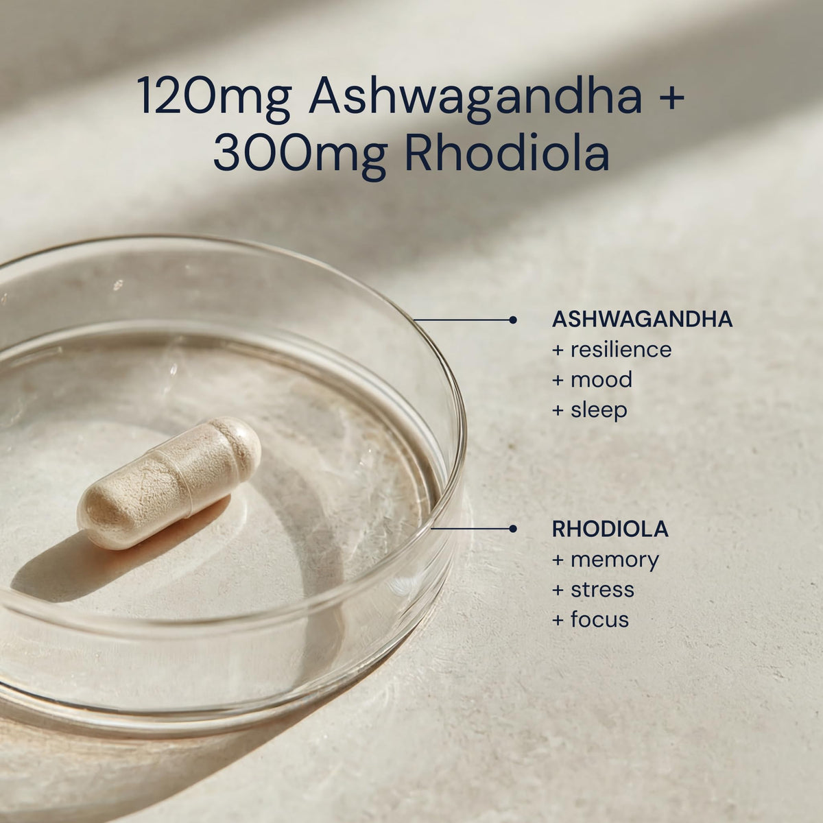 Capsules Ashwagandha et Rhodiola en main sur un fond neutre