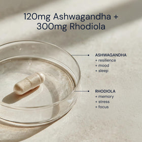 Capsules Ashwagandha et Rhodiola en main sur un fond neutre