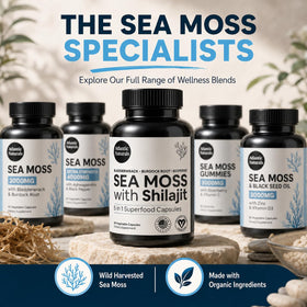 Capsules Atlantic Naturals ouvertes pour révéler leur taille