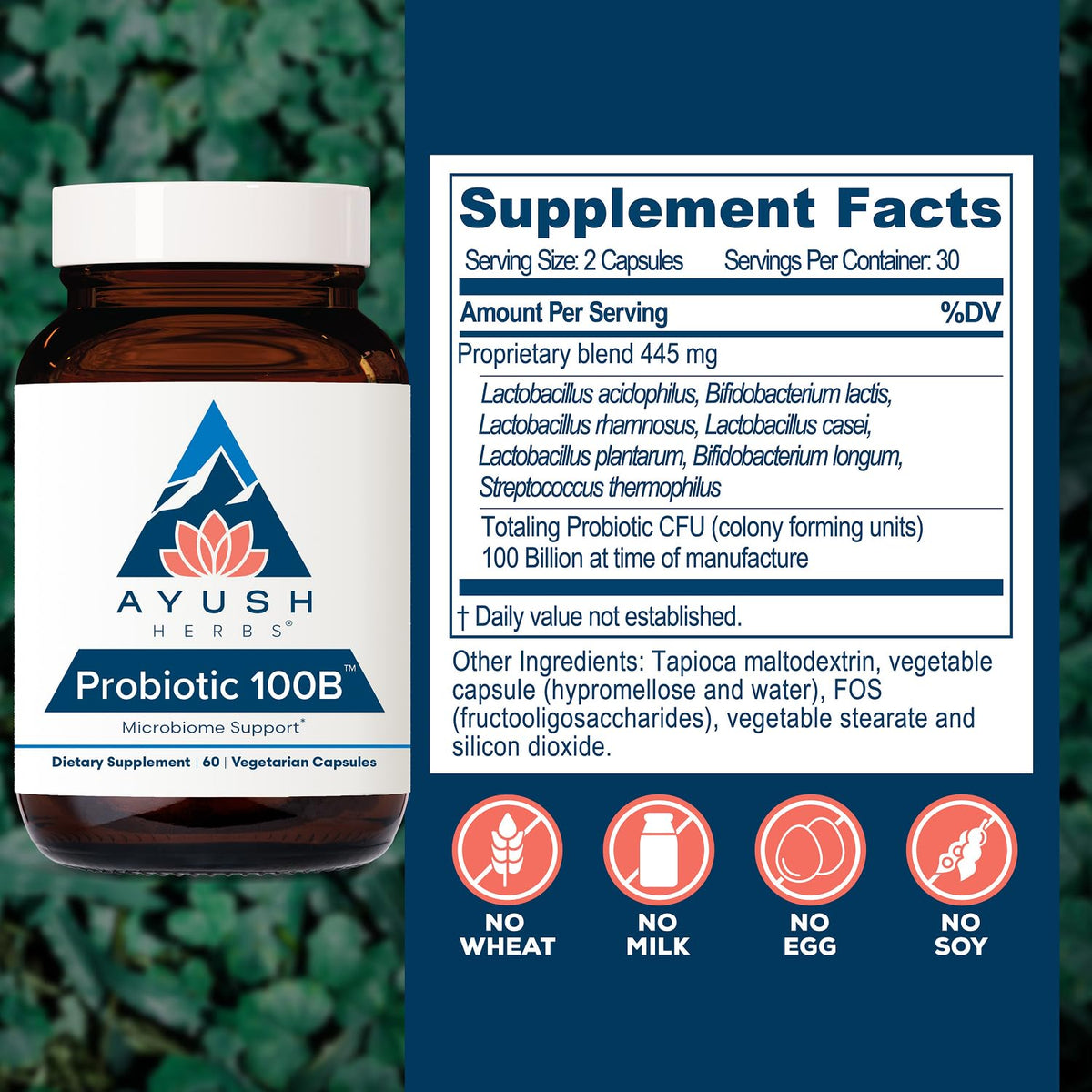 Capsules Ayush Herbs Probiotic 100B sur une surface blanche