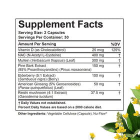 Capsules Betterbrand BetterLungs avec des ingrédients naturels en arrière-plan