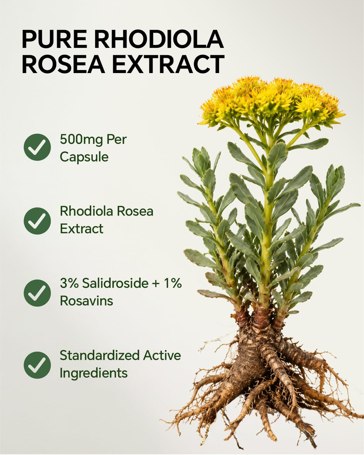 Capsules Blavenique Rhodiola Rosea sur une surface blanche