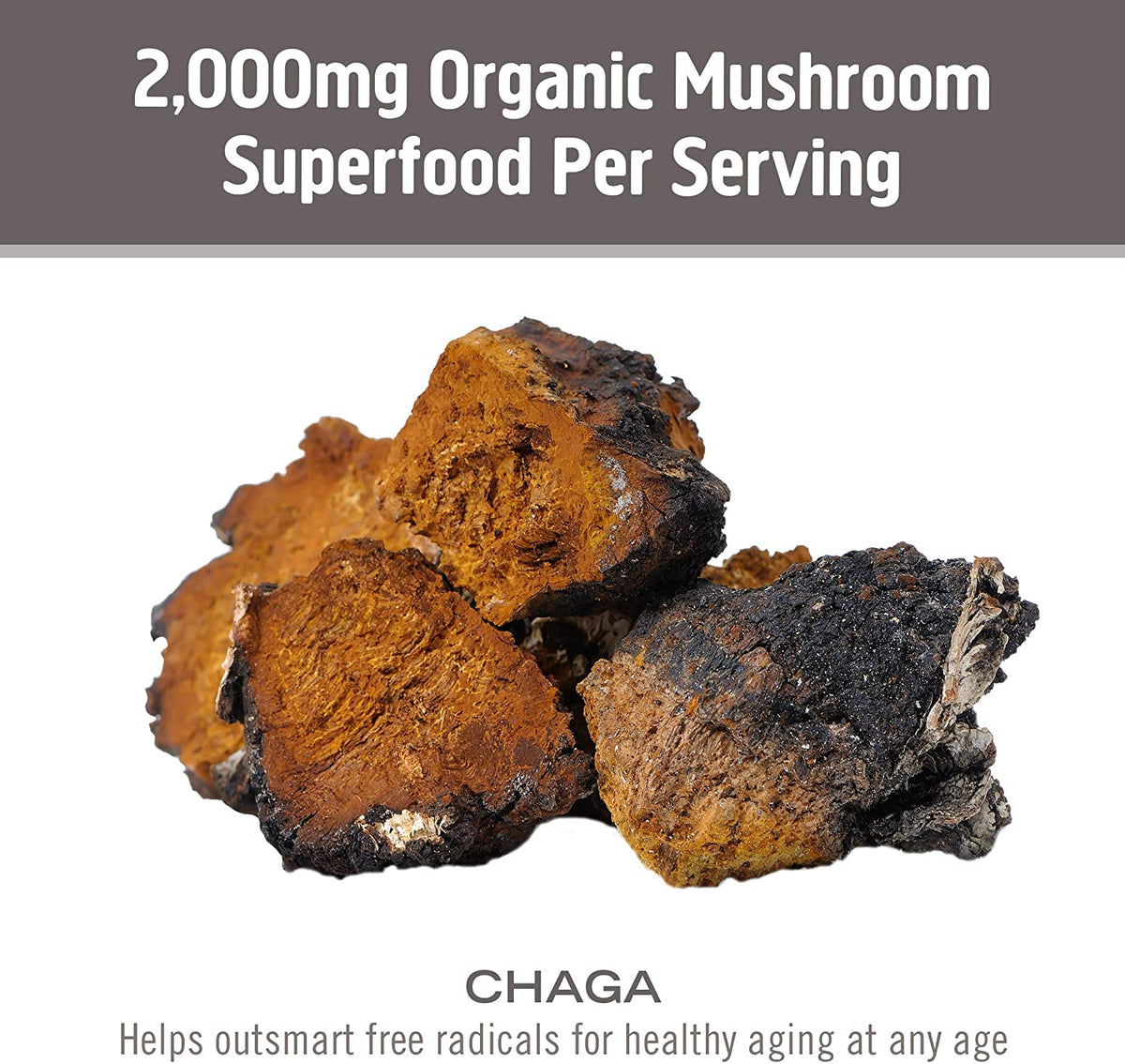 Capsules Chaga OM MUSHROOM dans leur emballage original
