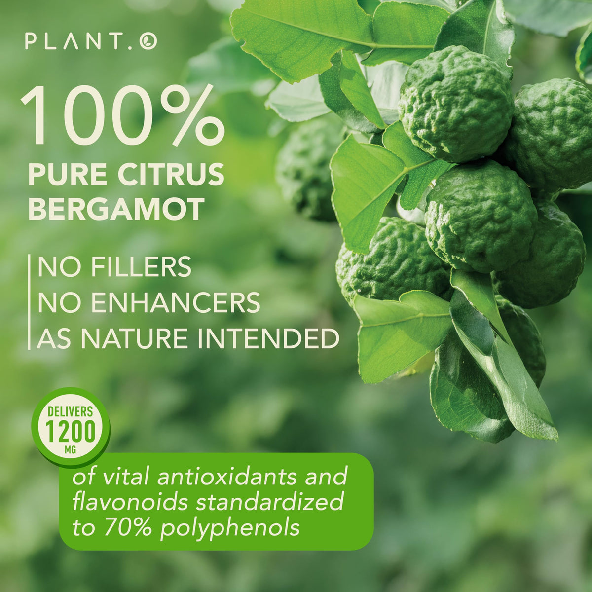 Capsules Citrus Bergamot 1200mg dans la main