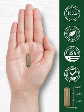 Capsules d'Absinthe Carlyle, design moderne de l'emballage