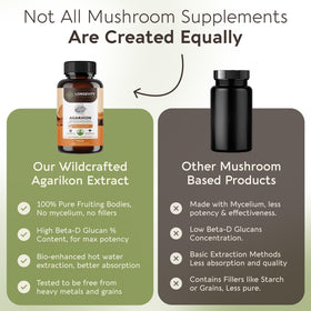 Capsules d'Agarikon 900mg sur une surface en bois