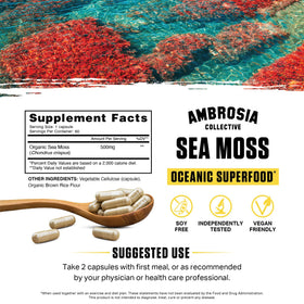 Capsules d'Ambrosia Mousse de Mer Irlandais Bio, vue de près
