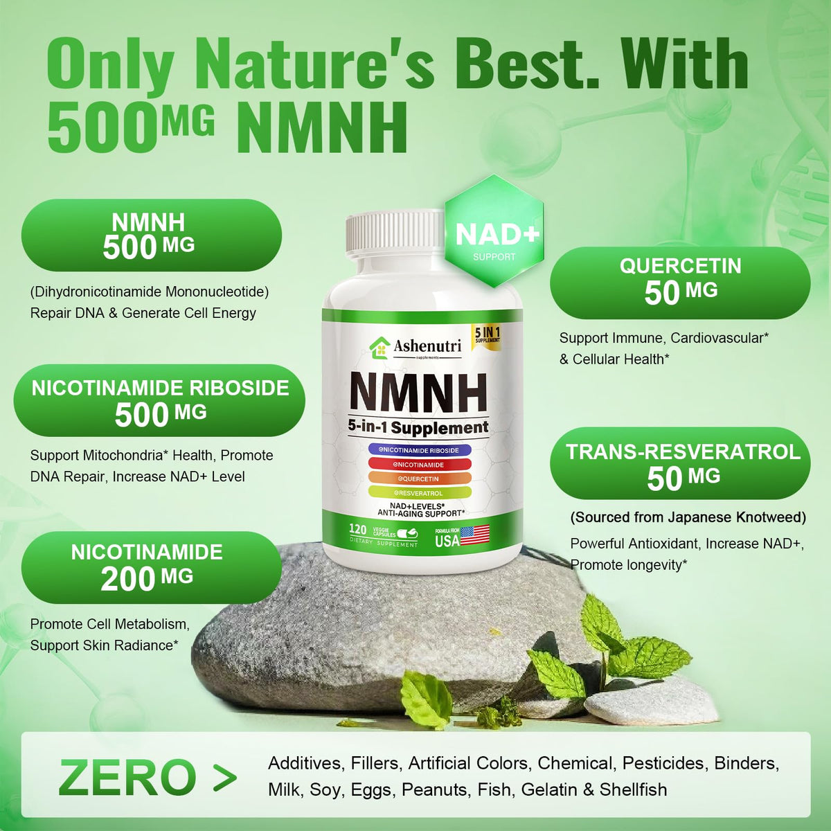 Capsules d'Ashenutri NMNH sur fond blanc